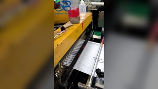 কাস্টম মুদ্রিত ফ্রস্টেড গ্লাসিন ব্যাগ ব্যক্তিগতকৃত লোগো পুনর্ব্যবহারযোগ্য উপহার ব্যাগ