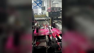 প্লাস্টিক কাস্টম স্ট্যান্ড আপ পাউচ কাস্টম প্রিন্ট ব্র্যান্ড স্ন্যাক স্টোরেজ পাউচ