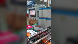 স্ট্যান্ড-আপ ব্যাগ রিসেলযোগ্য জিপলক ফুড গ্রেড ফ্রেশ-কিপিং পাউচ