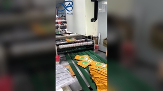 চাইল্ড প্রুফ ব্যাগ রিসিলেবল এয়ারটাইট গন্ধ প্রুফ সেফ স্টোরেজ পাউচ