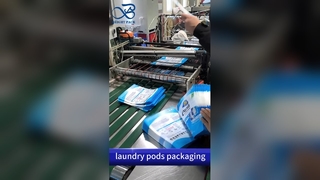 লন্ড্রি ক্যাপসুল প্লাস্টিক ব্যাগ: শিশু প্রতিরোধী লিক-প্রুফ B2B কাস্টম প্রিন্ট করা নিরাপদ পাউচ