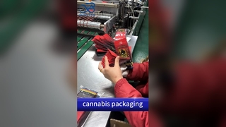 চাইল্ড রেজিস্ট্যান্ট ব্যাগ পাইকারি বিক্রেতা: ইউএস পেটেন্ট B2B কমপ্লায়েন্ট সিকিউর কাস্টম প্রিন্টেড পাউচ