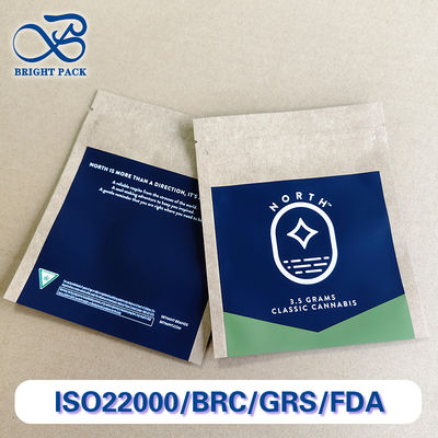 কাস্টম প্রিন্টেড ক্রাফট পেপার ব্যাগ বাল্ক অর্ডার পরিবেশ-বান্ধব ১০-রঙের লোগো প্রিন্টিং খুচরা