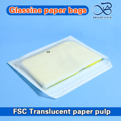 পোশাক ও জুতা জন্য FSC পুনর্ব্যবহৃত গ্লাসিন পোশাক ব্যাগ